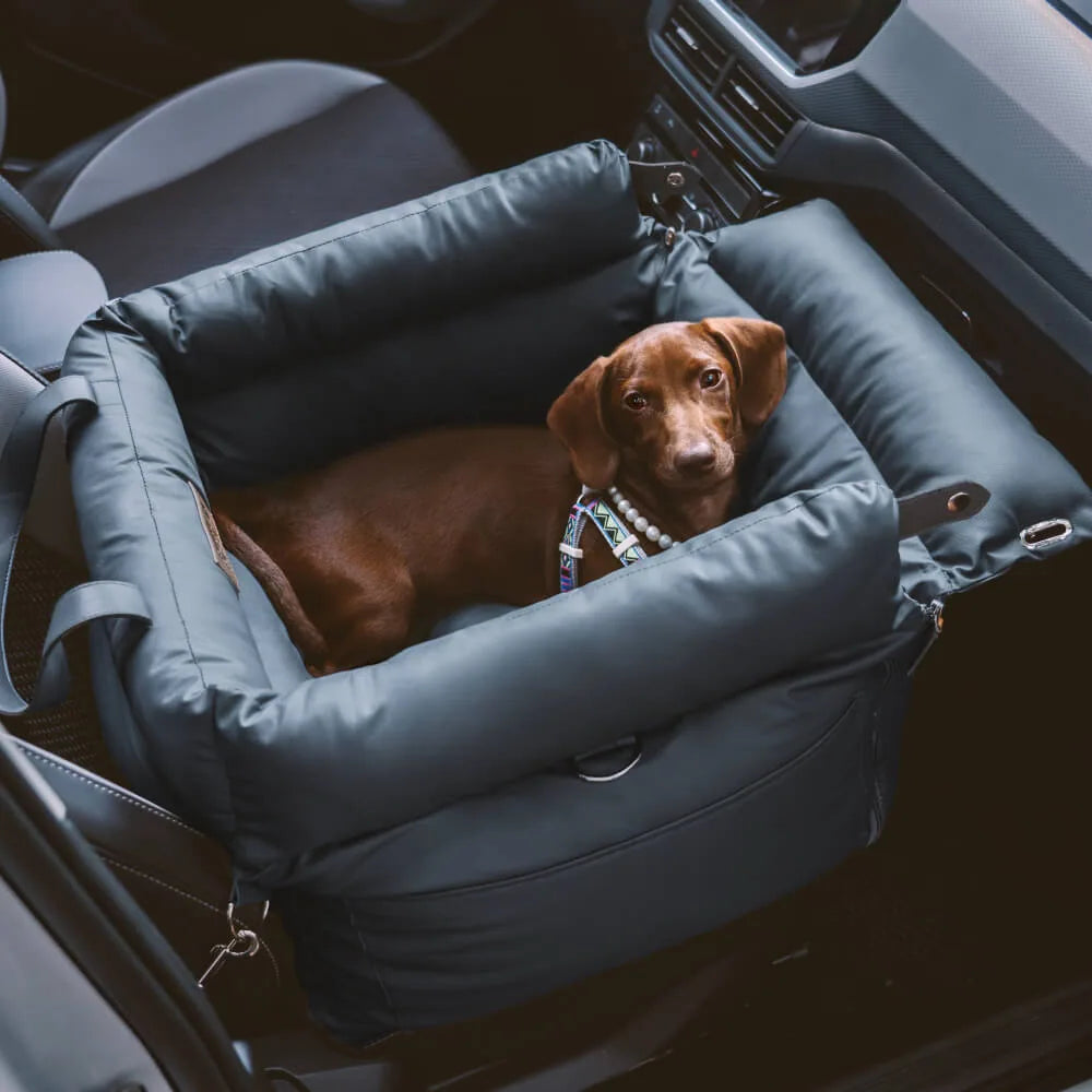 Siège Auto Surélevé pour Chien en Similicuir