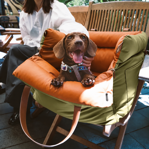 Siège Auto ISOFIX Pour Chien