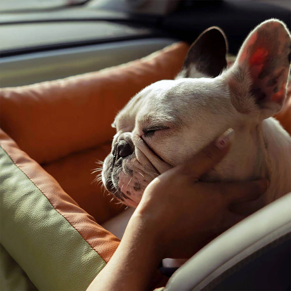 Siège Auto Surélevé pour Chien en Similicuir